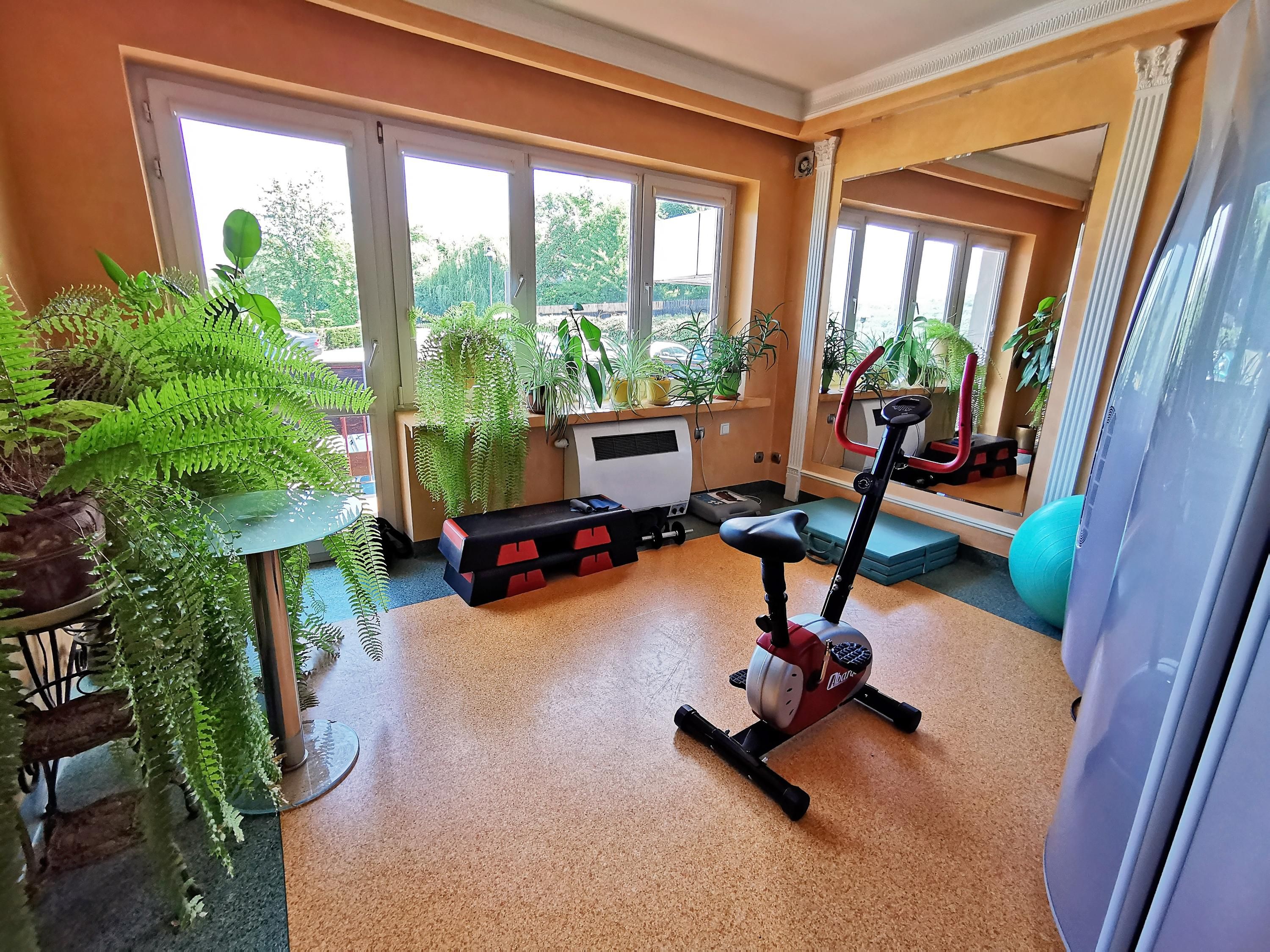 Gim