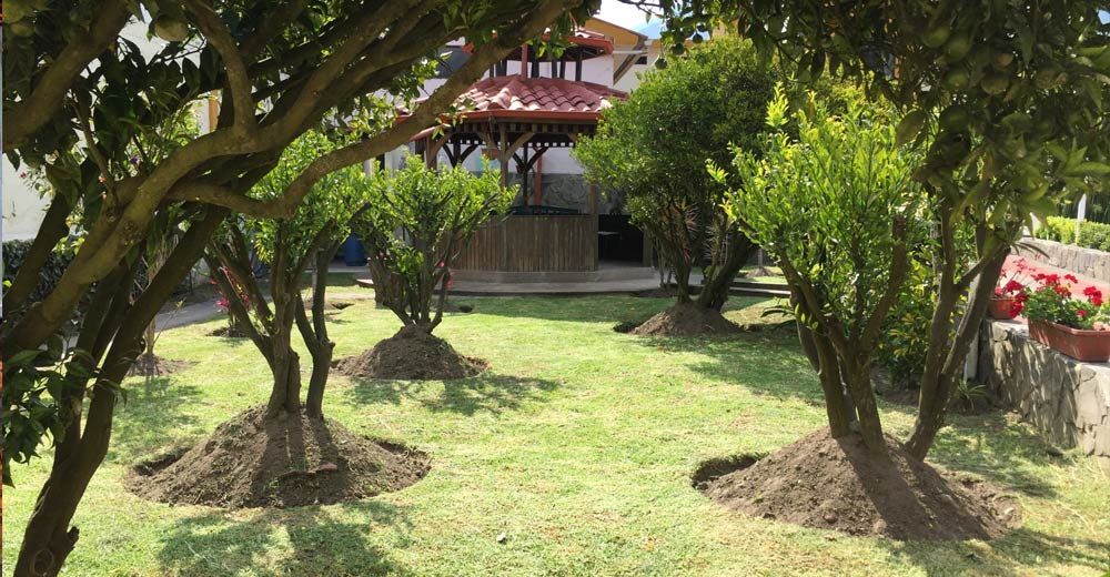 Pemandangan luar