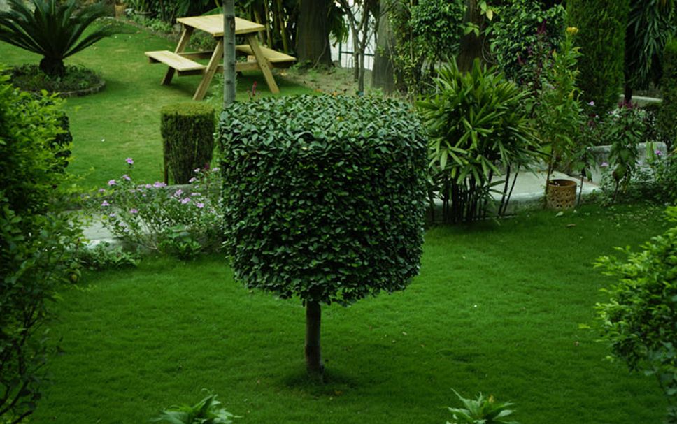 Pemandangan luar Gambar