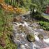 Pemandangan luar