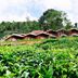 Pemandangan luar
