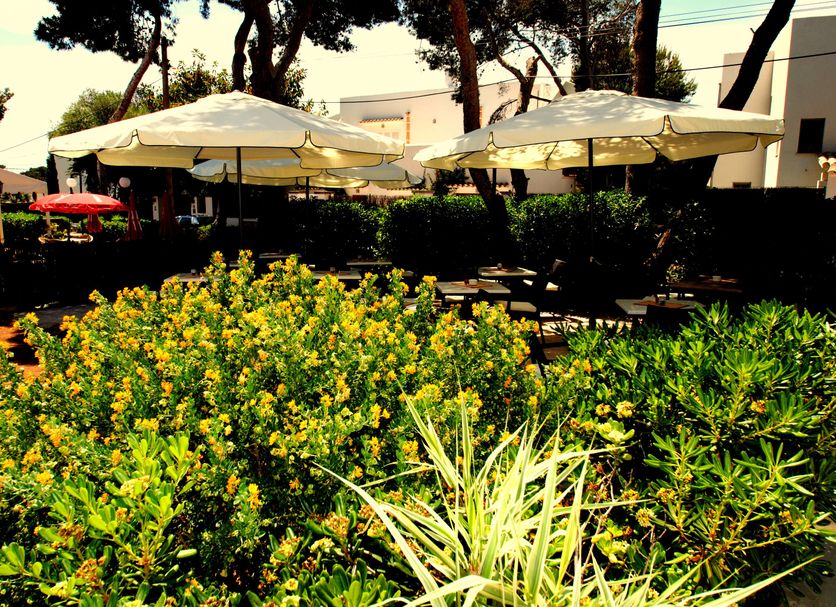 Patio Gambar