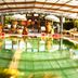 Kolam renang