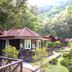 Pemandangan luar
