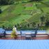 Pemandangan luar