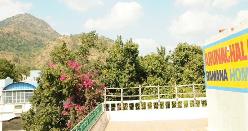 Pemandangan luar