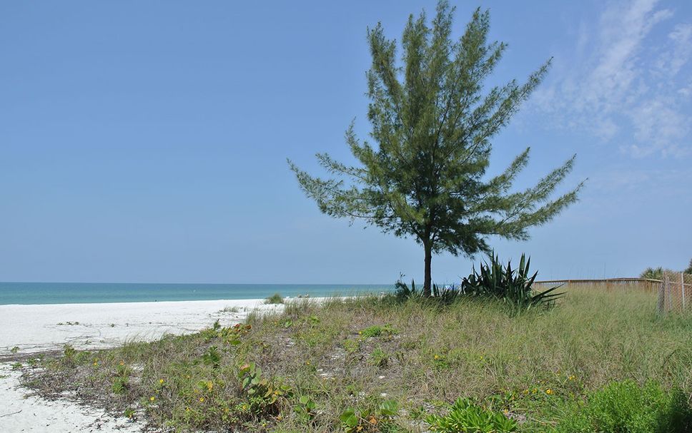 Pemandangan luar Gambar