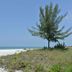 Pemandangan luar